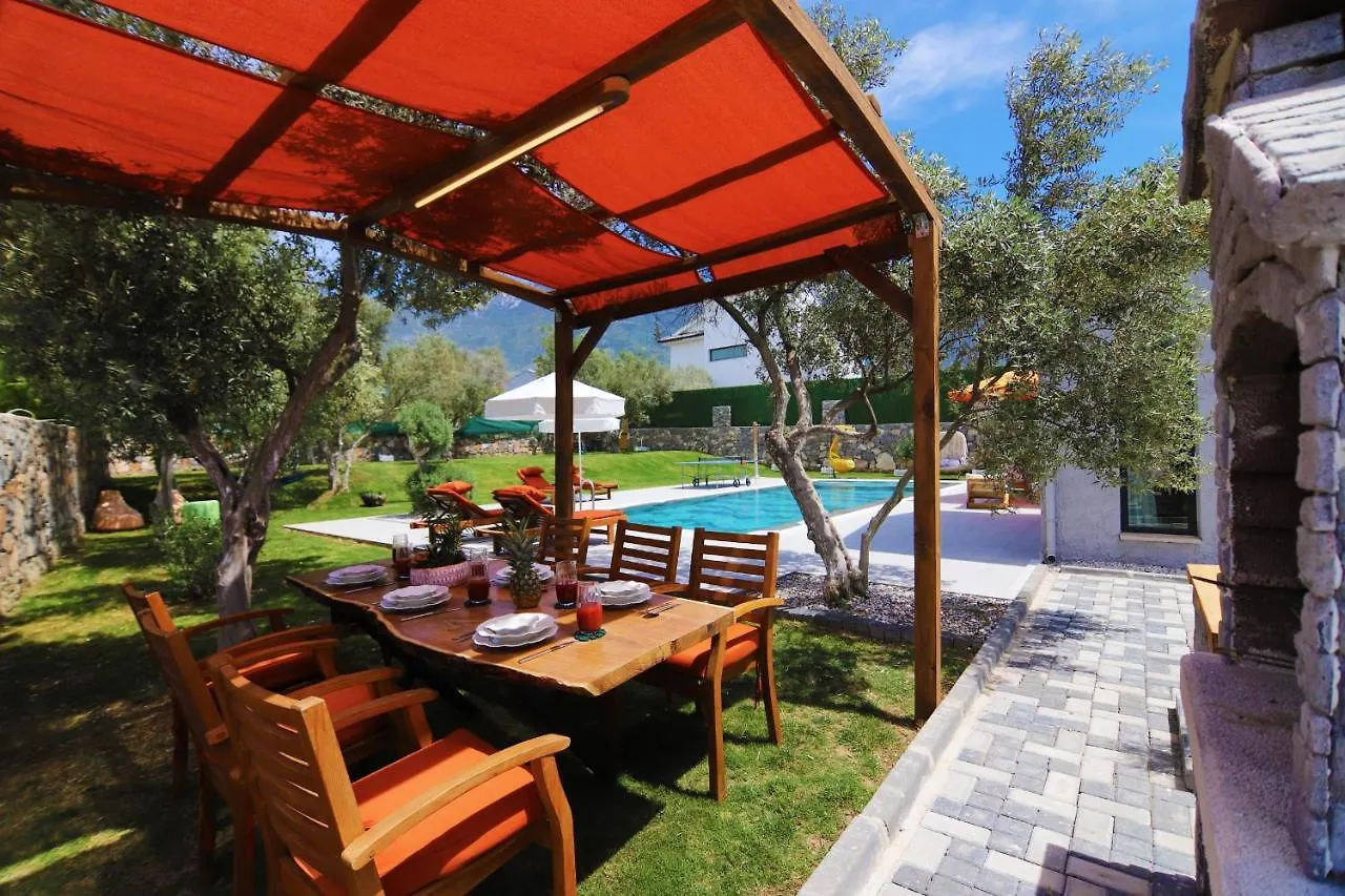 Villa Golondrina فتحية 0*,  تركيا