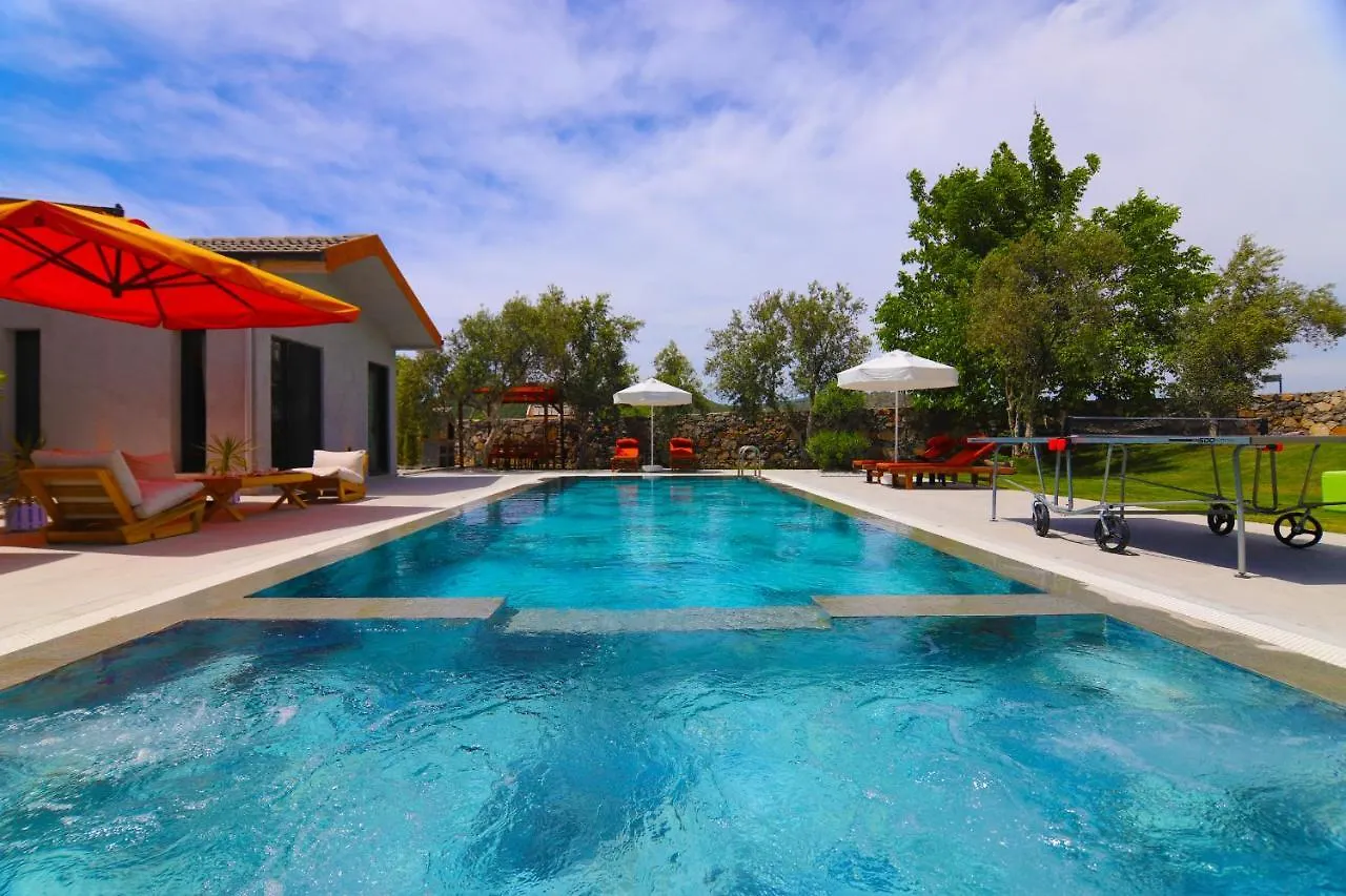 Villa Golondrina فتحية تركيا
